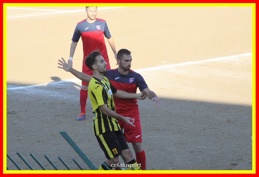 181111 Cepha_Milazzo 113_tn.JPG